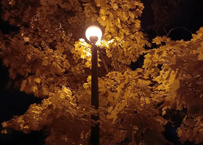 Przytulnie W Domu Guest house Krakow