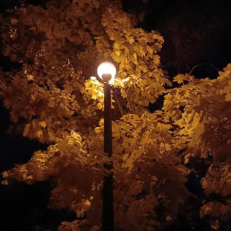 Przytulnie W Domu Pensjonat Kraków